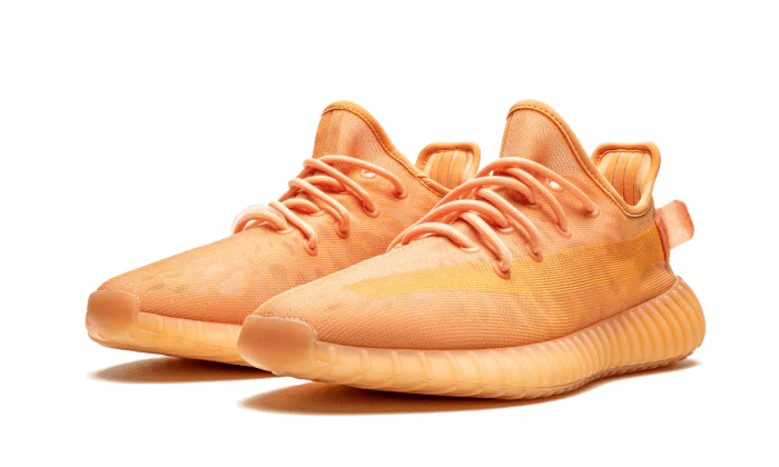 Adidas Yeezy Boost 350 V2 Mono Clay - Image 2