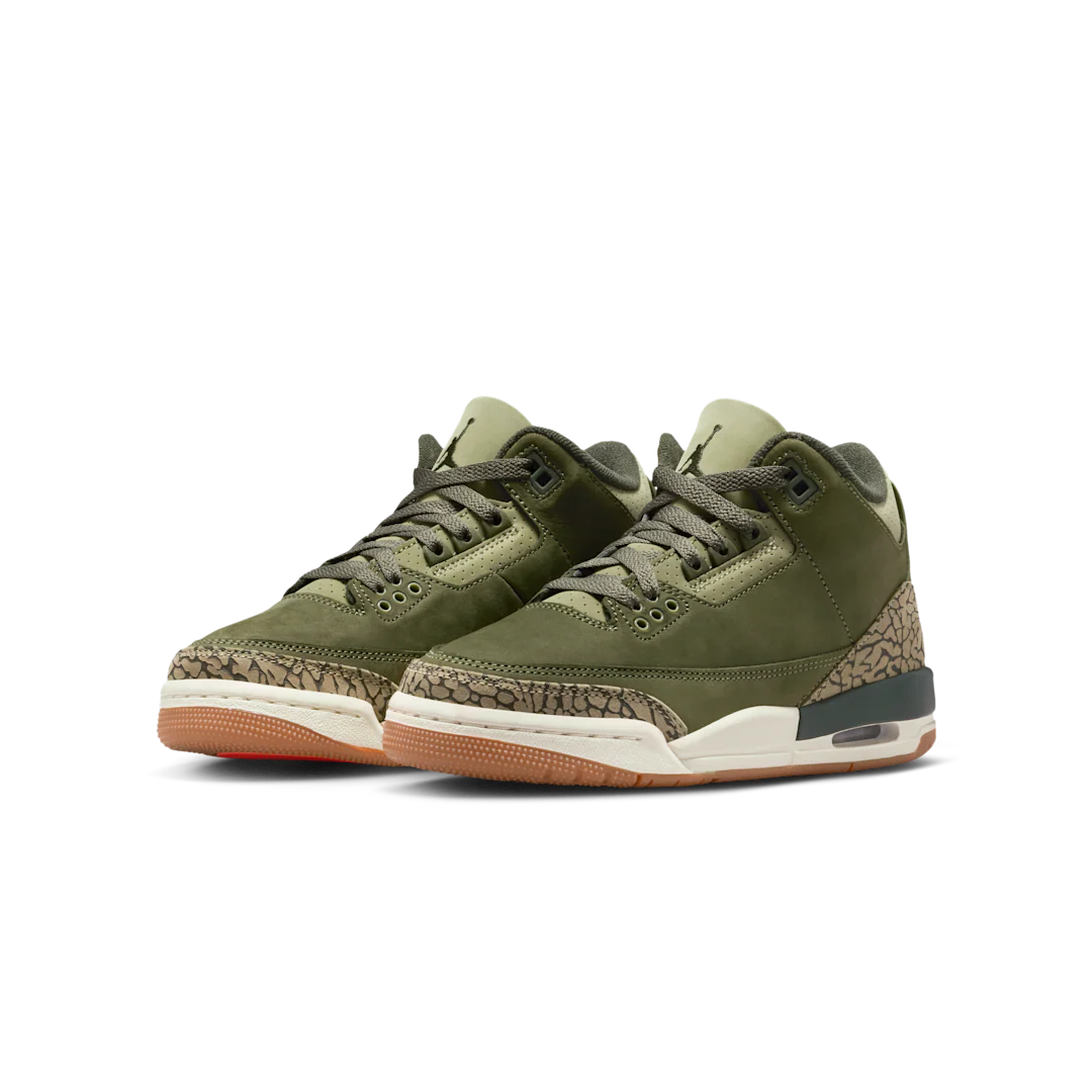 Air Jordan 3 Retro Family Affair - Image 2