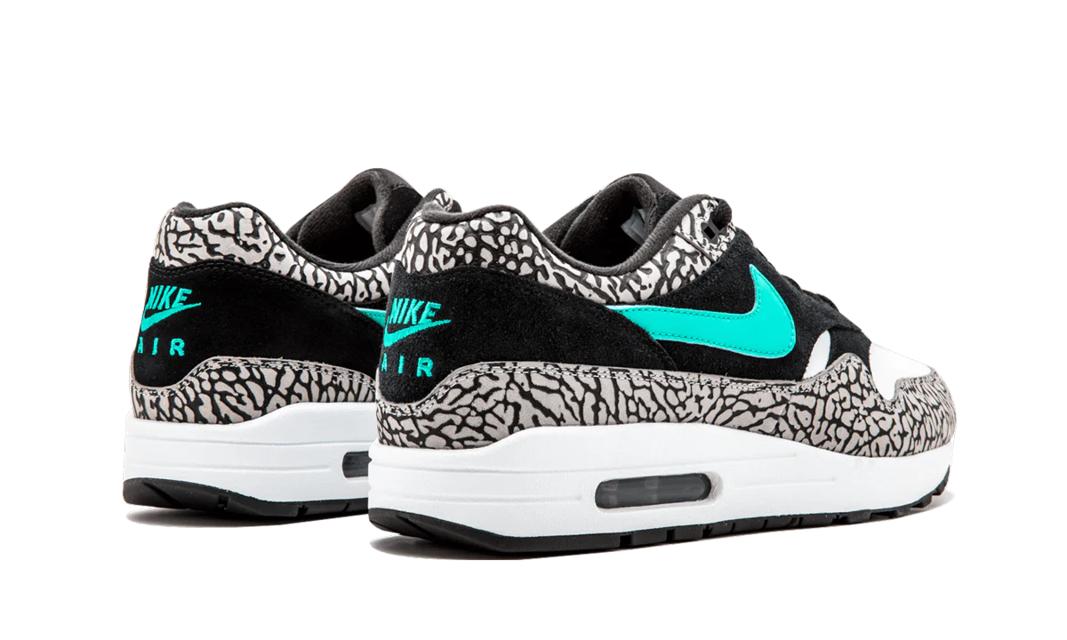 Air Jordan 3 Retro & Nike Air Max 1 atmos Pack - Image 9