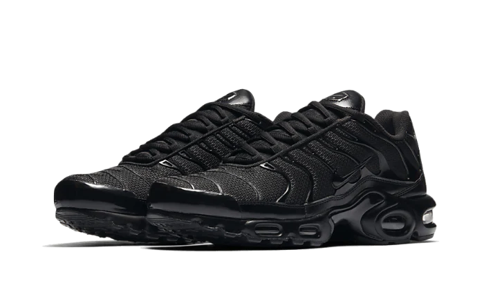 Nike Air Max Plus Black/Black/Black - Image 3